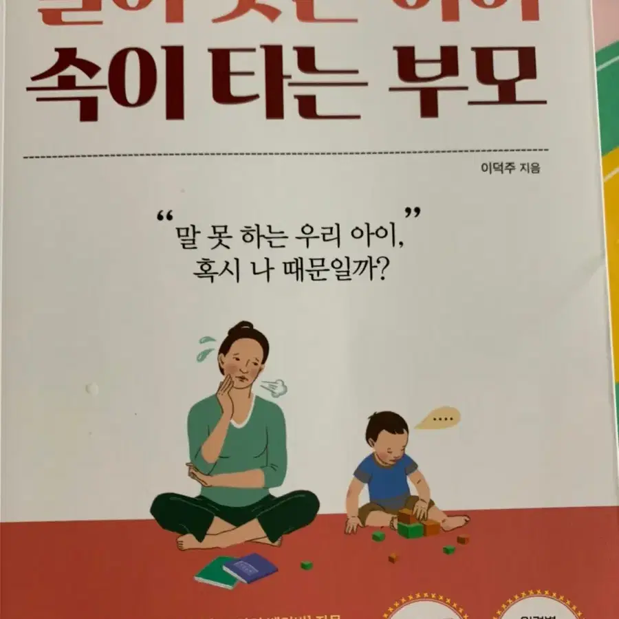 말이늦은 아이 속이 타는 부모 책