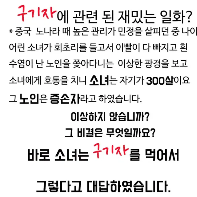 청양 국산 구기자 알갱이&티백 선물 세트 건강을 선물하세요.