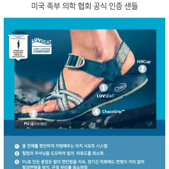 차코 샌들 여성용 