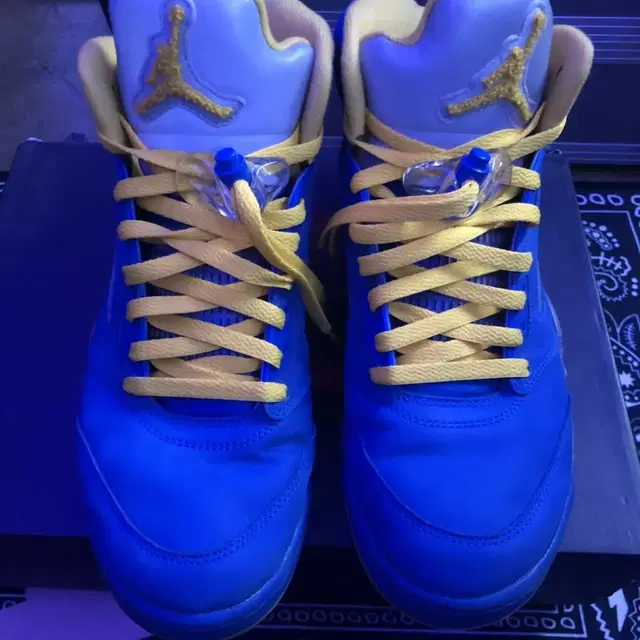 조던 5 레이니 jordan 5 laney