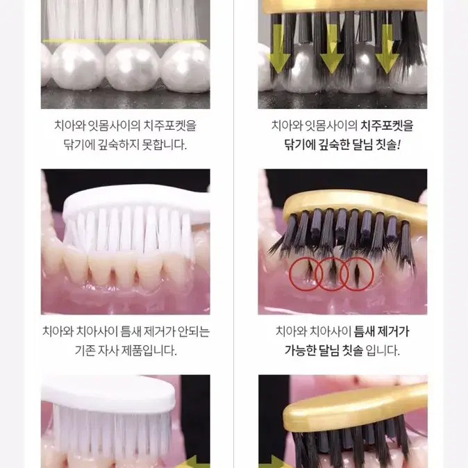 3단구조 특별한 칫솔 10종