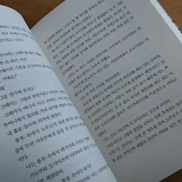 돌이킬수 없는 약속 소설책