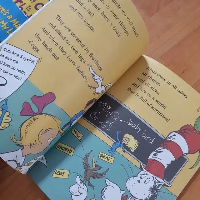 영어책(초급)-닥터수스Dr. Seuss Cat in the Hat 33권