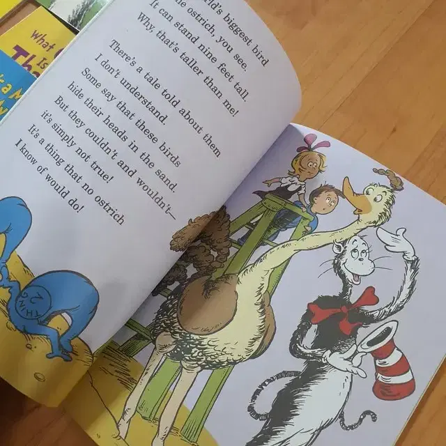 영어책(초급)-닥터수스Dr. Seuss Cat in the Hat 33권