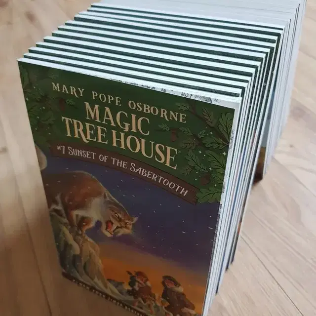 영어책-매직트리하우스 Magic Tree House 1집 32종(음원)