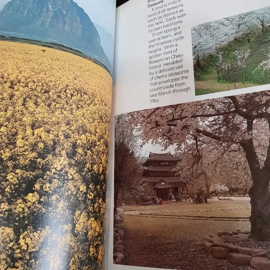 1977년도 대한민국 영문 가이드 책자 희귀품