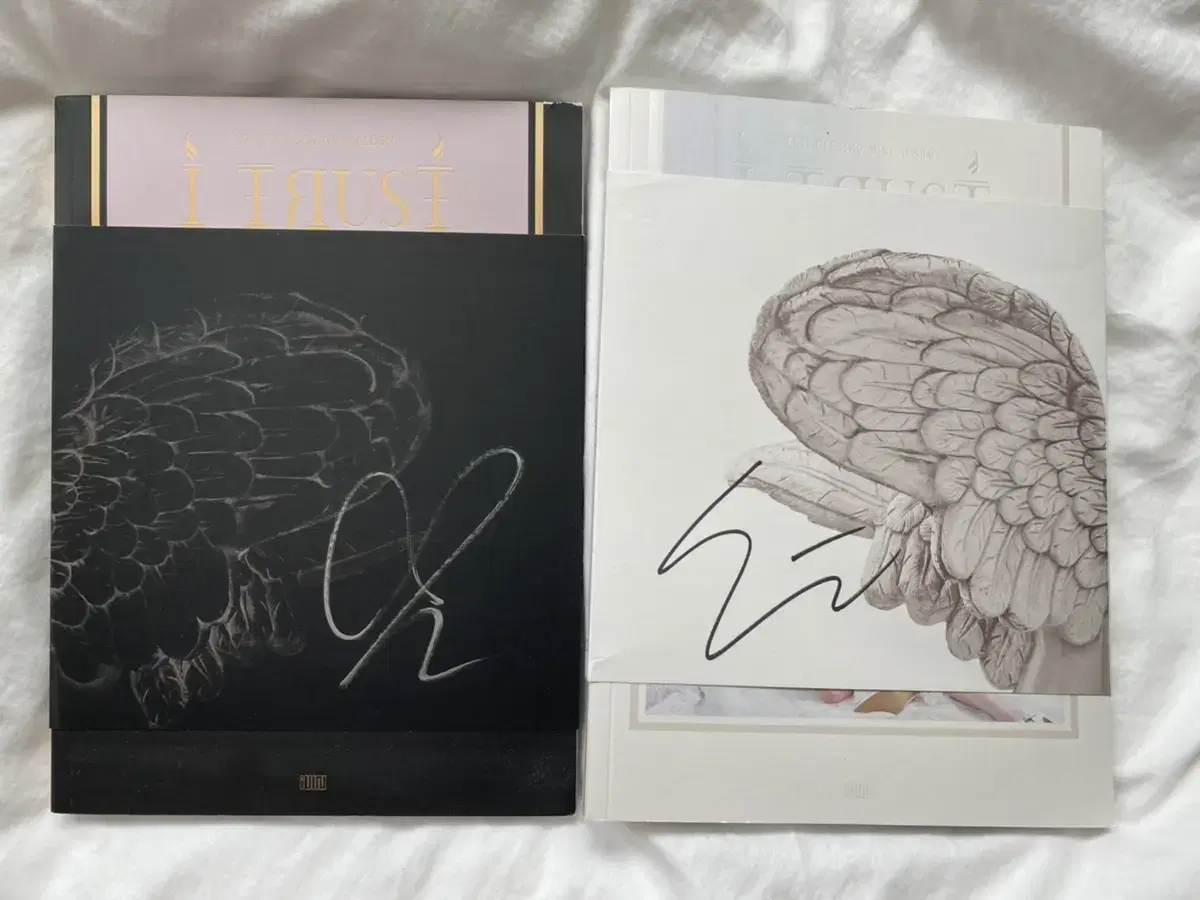 Gidle's signature album.