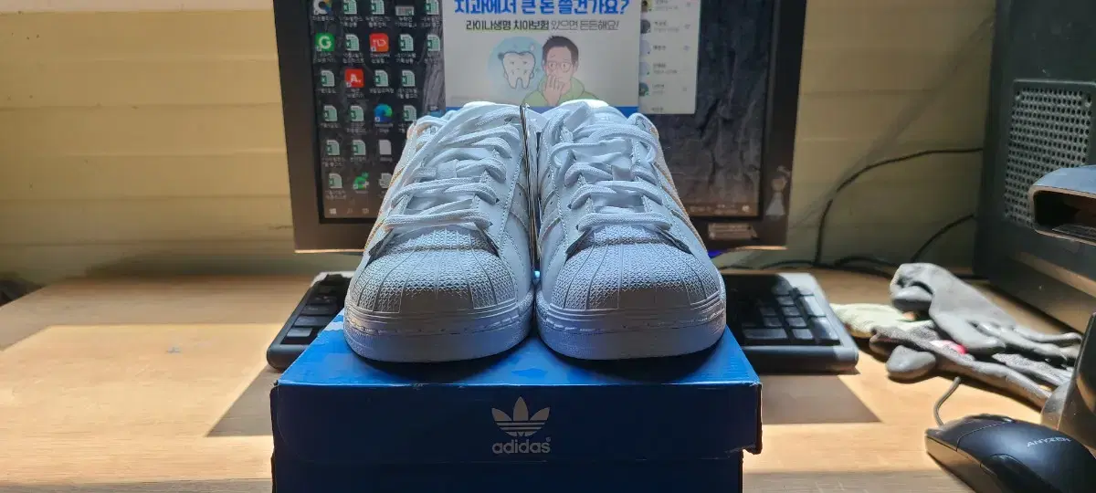 (217) Adidas B27136