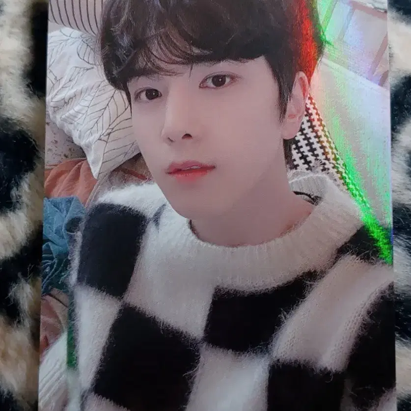 더보이즈 더비 3기 영훈 포카