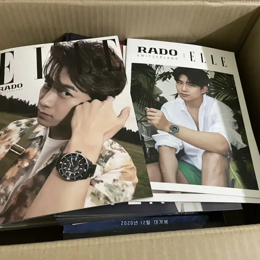 옥택연 잡지 rado elle 단가