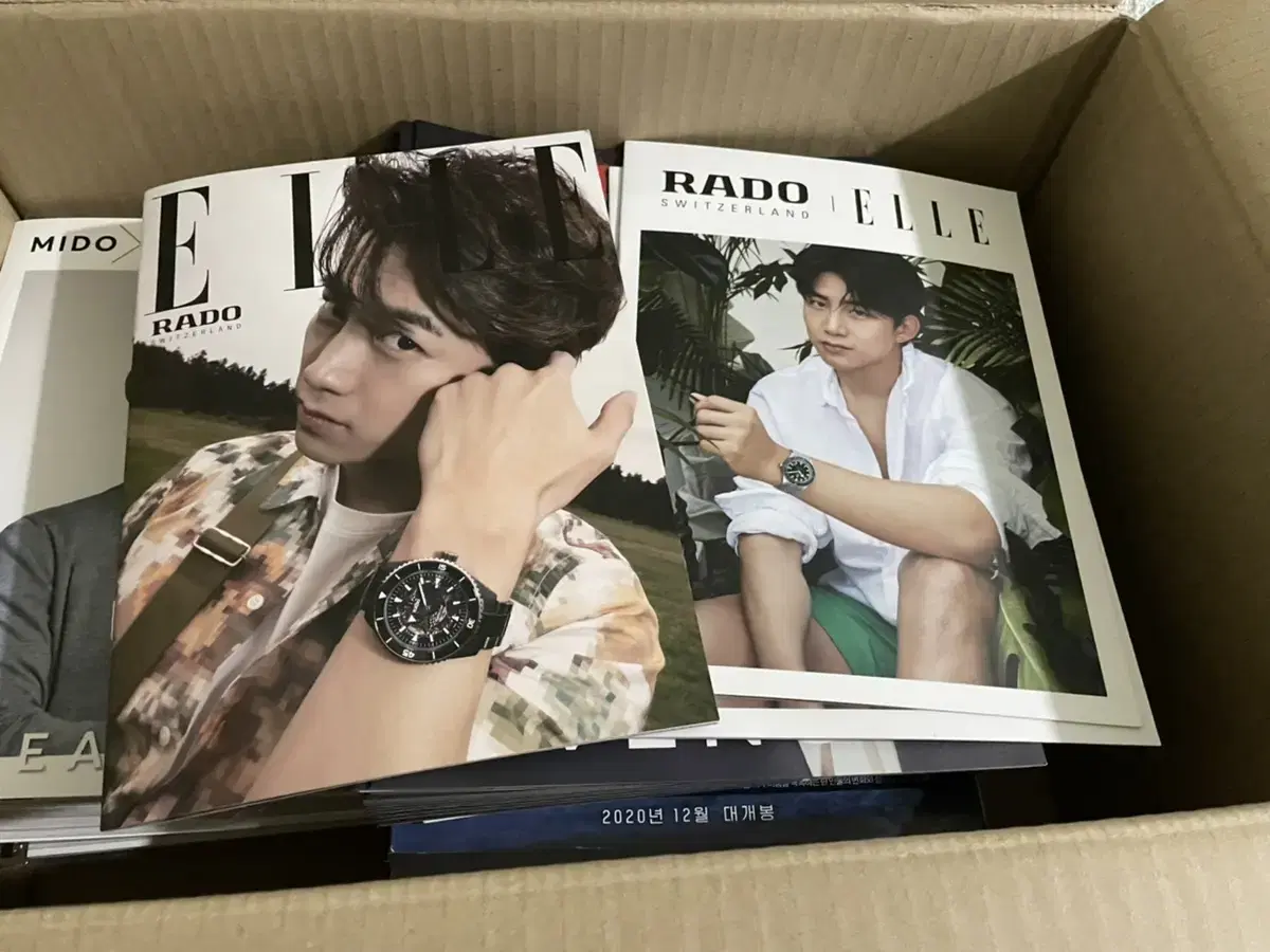 옥택연 잡지 rado elle 단가