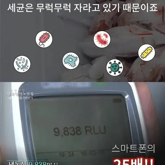 새상품 무배)이젠쿨 음식물 쓰레기 냉장고 악취 벌레 차단 음식물처리기