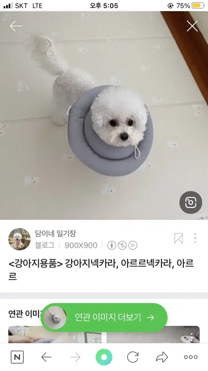 강아지 넥카라 아르르 UFO 그레이