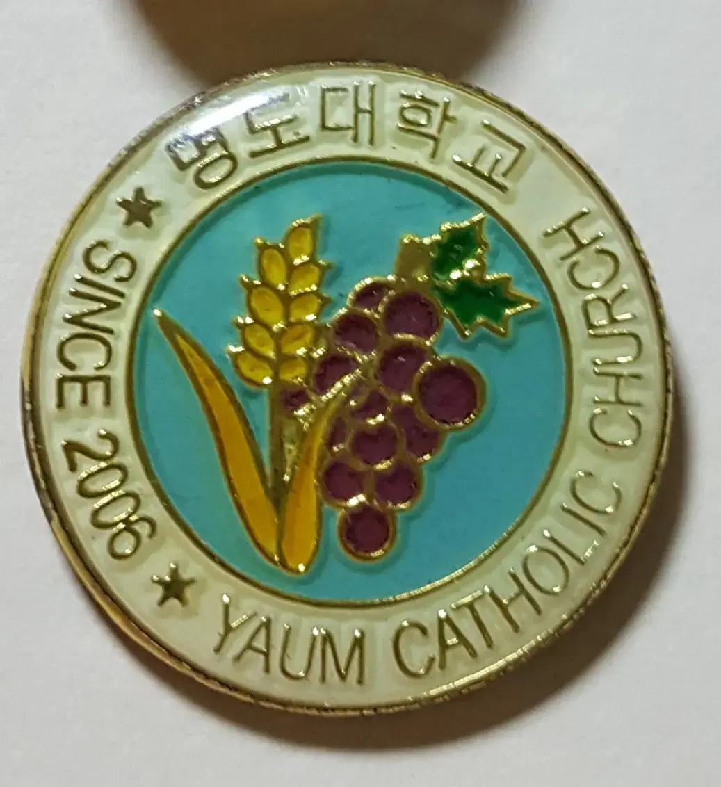 Myeongdo University badge