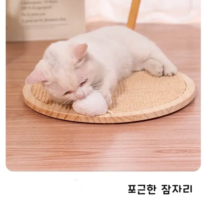 고양이 창문 부착형 스크래쳐