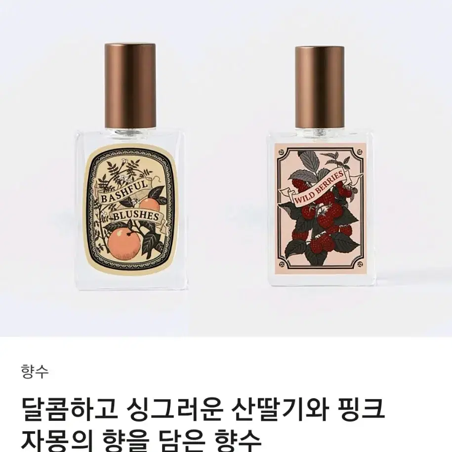 텀블벅향수 아뜰리에페이 베쉬풀블러쉬