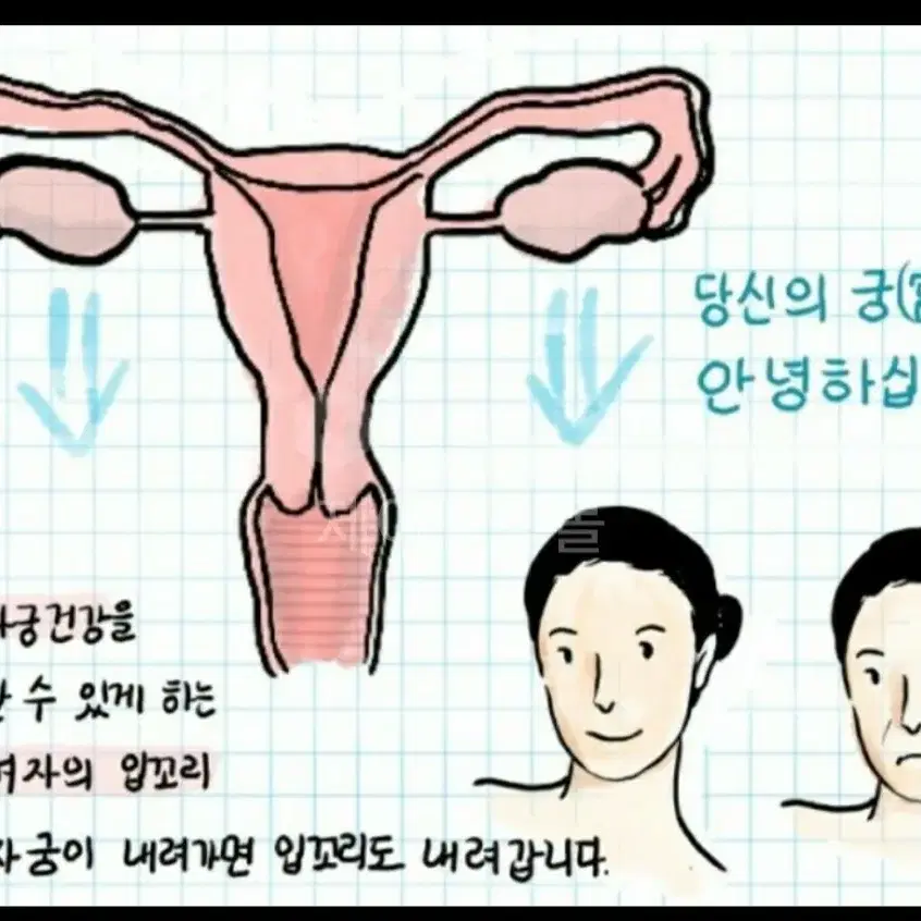 냉증.자궁.근적외선우먼케어.질염.양자파동