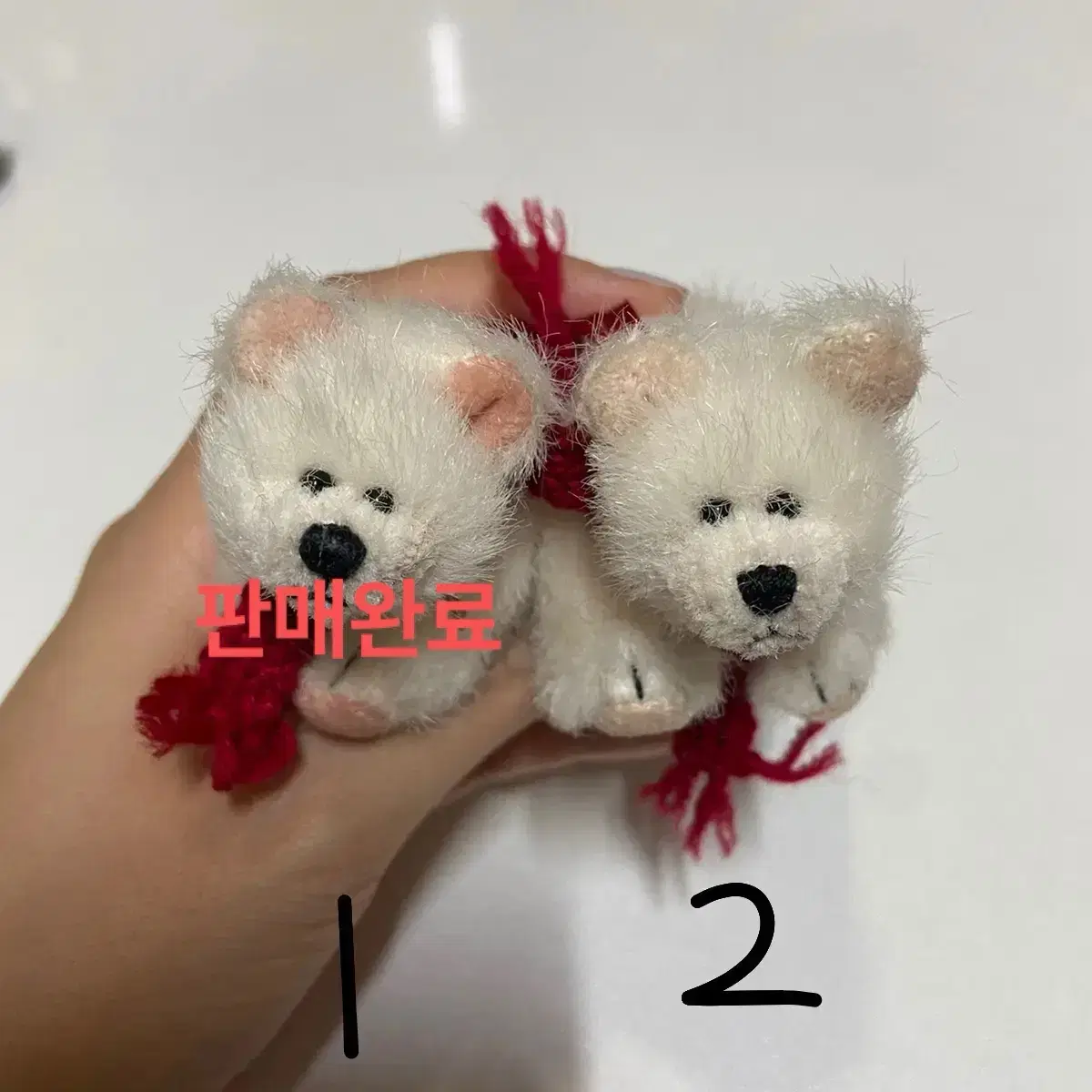 보이즈베어 쪼꼬미 백곰 빨간목도리