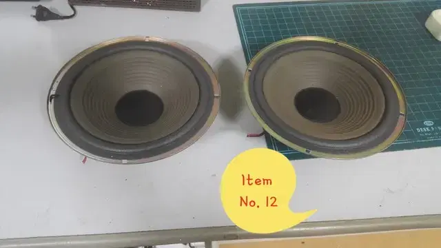 10" woofer for Eroica TSP-135B