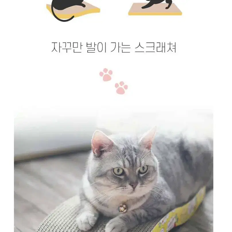 1+1)고양이 스크래쳐