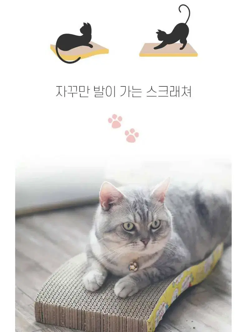 1+1)고양이 스크래쳐