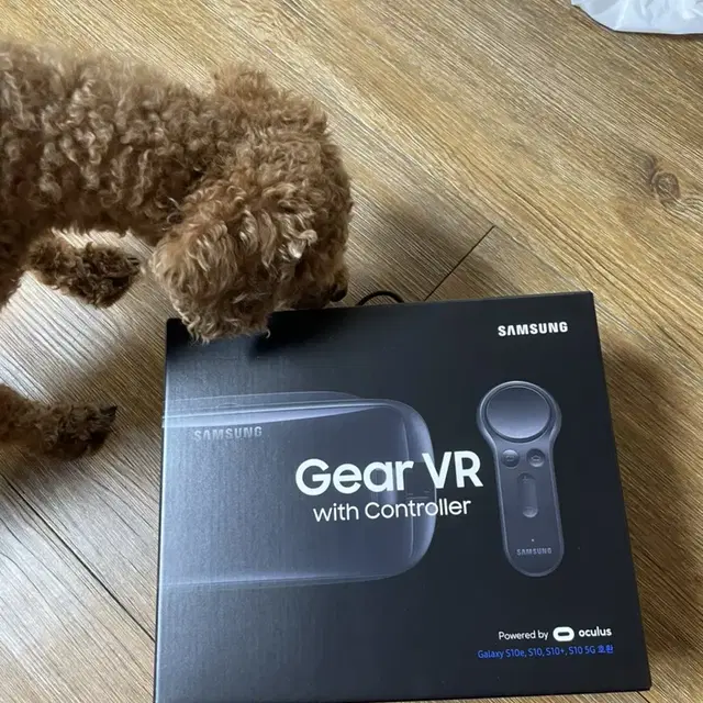 삼성 gear vr with controller