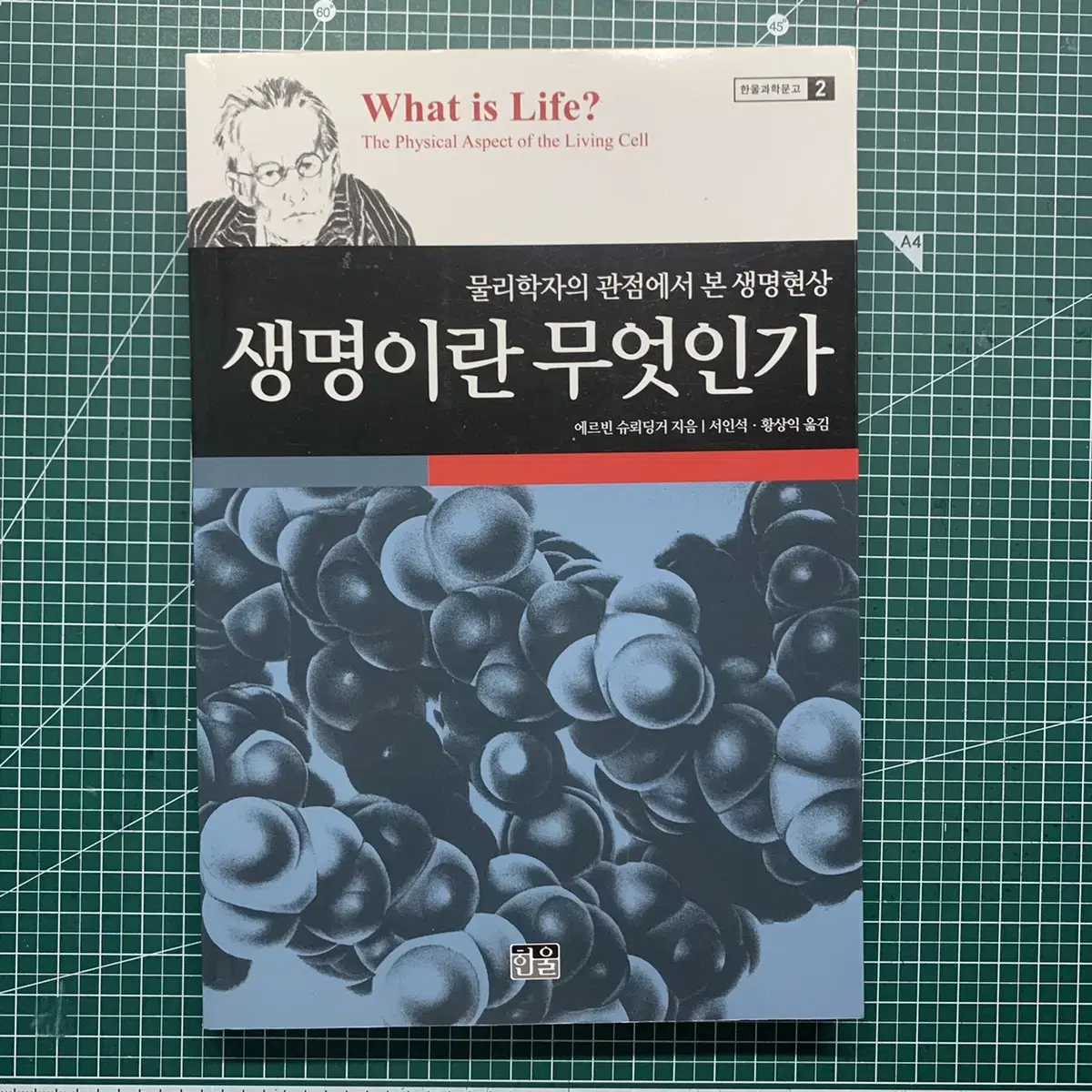 생명이란 무엇인가' 책 판매 | 브랜드 중고거래 플랫폼, 번개장터