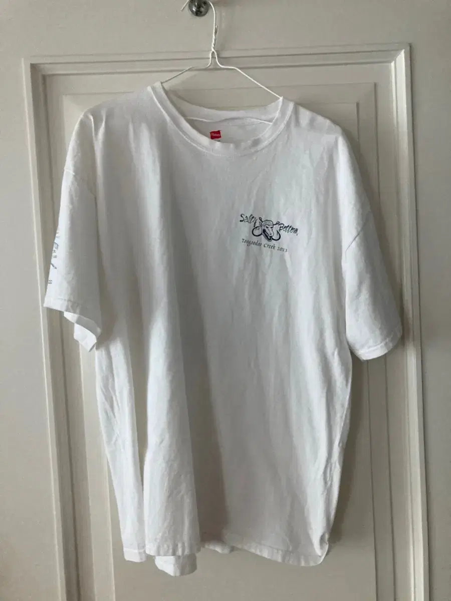 Vintage Haynes Tee