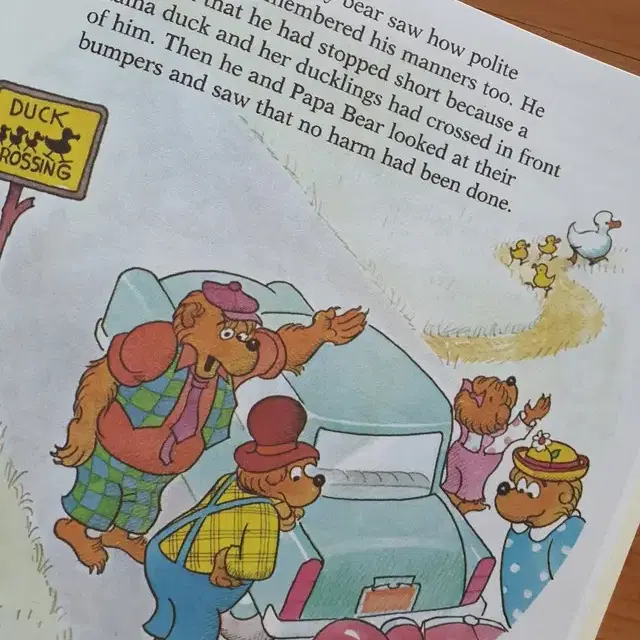 영어책-베렌스타인베어스 berenstain bears 28종(음원제공)