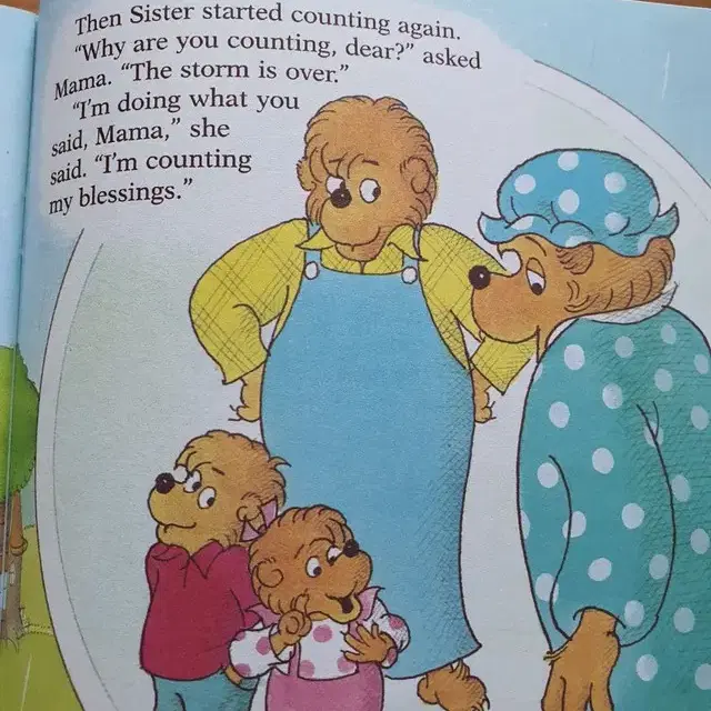 영어책-베렌스타인베어스 berenstain bears 28종(음원제공)