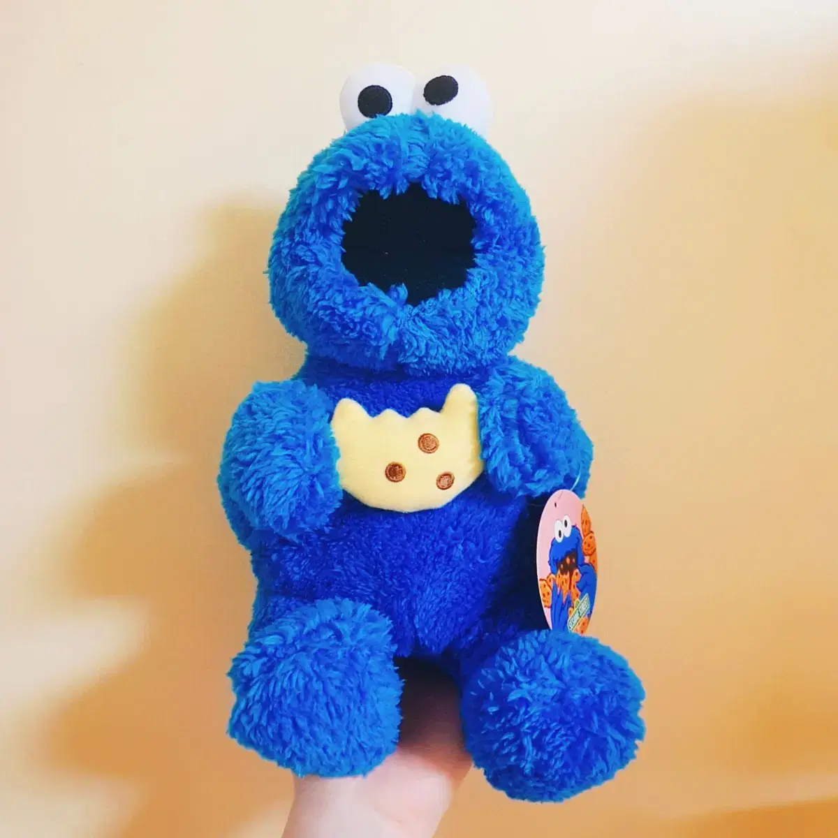 [Discount]Sesame Street Cookie Monster