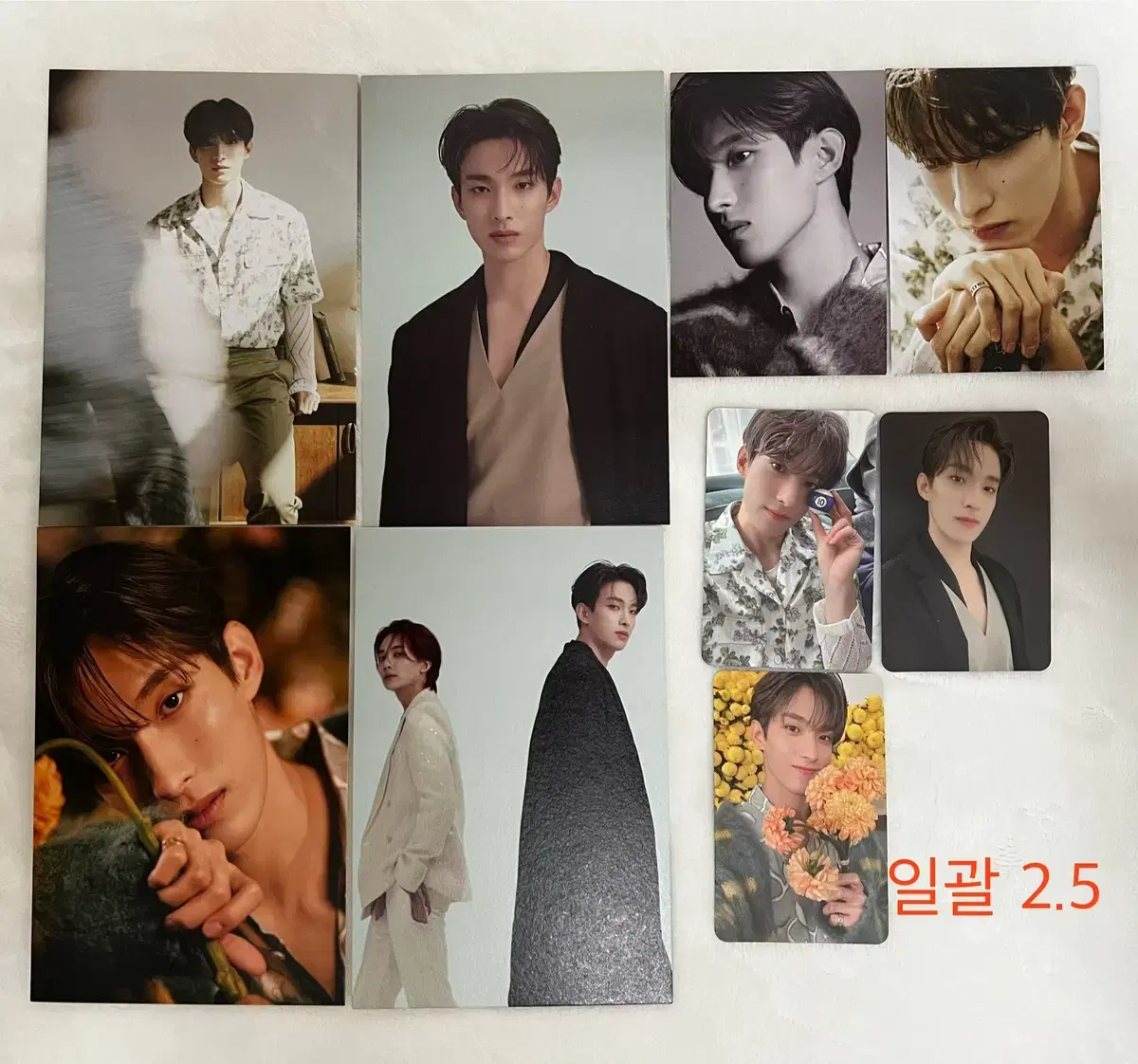 세븐틴 your choice 앨범 도겸 풀셋