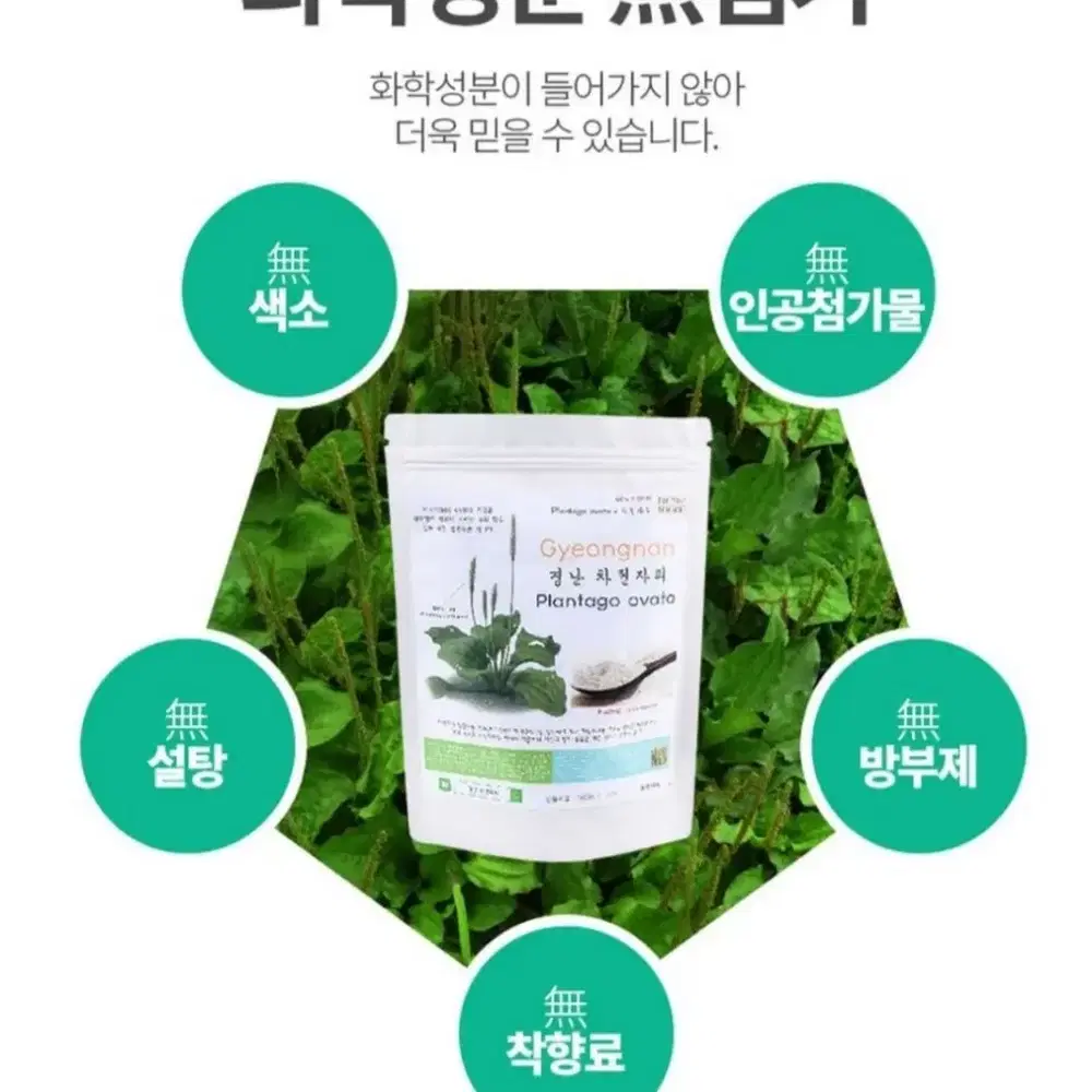 경난차전자피(500g)19,900원 배송비 별도2.000원