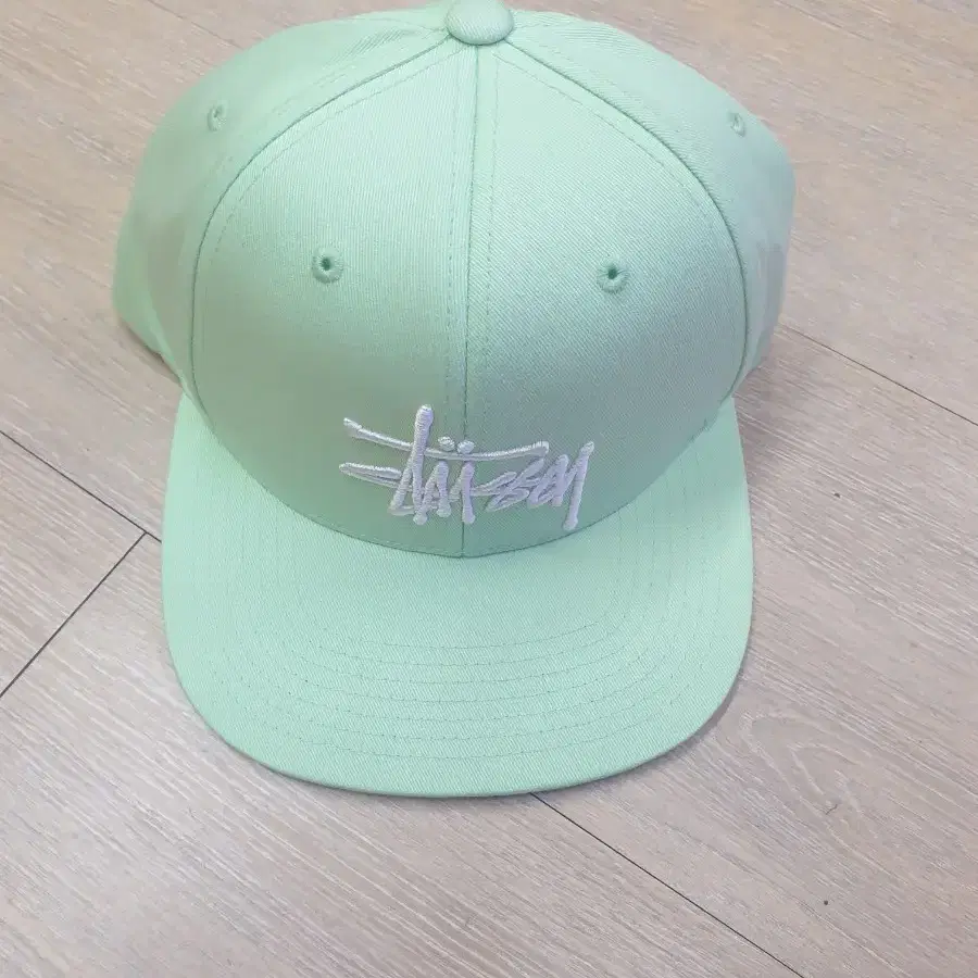 stussy 스투시 빅로고  민트캡