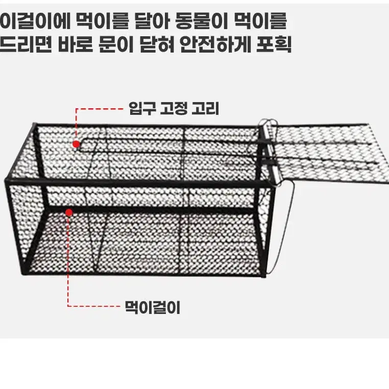 @쥐덫 쥐덧 쥐덪 쥐틀 쥐망 망덫 쥐잡이 쥐퇴치 두더지덫 트랩 포획