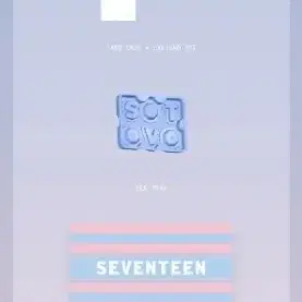 세븐틴 공식 팬클럽 4기 캐럿 굿즈 (다 있음)