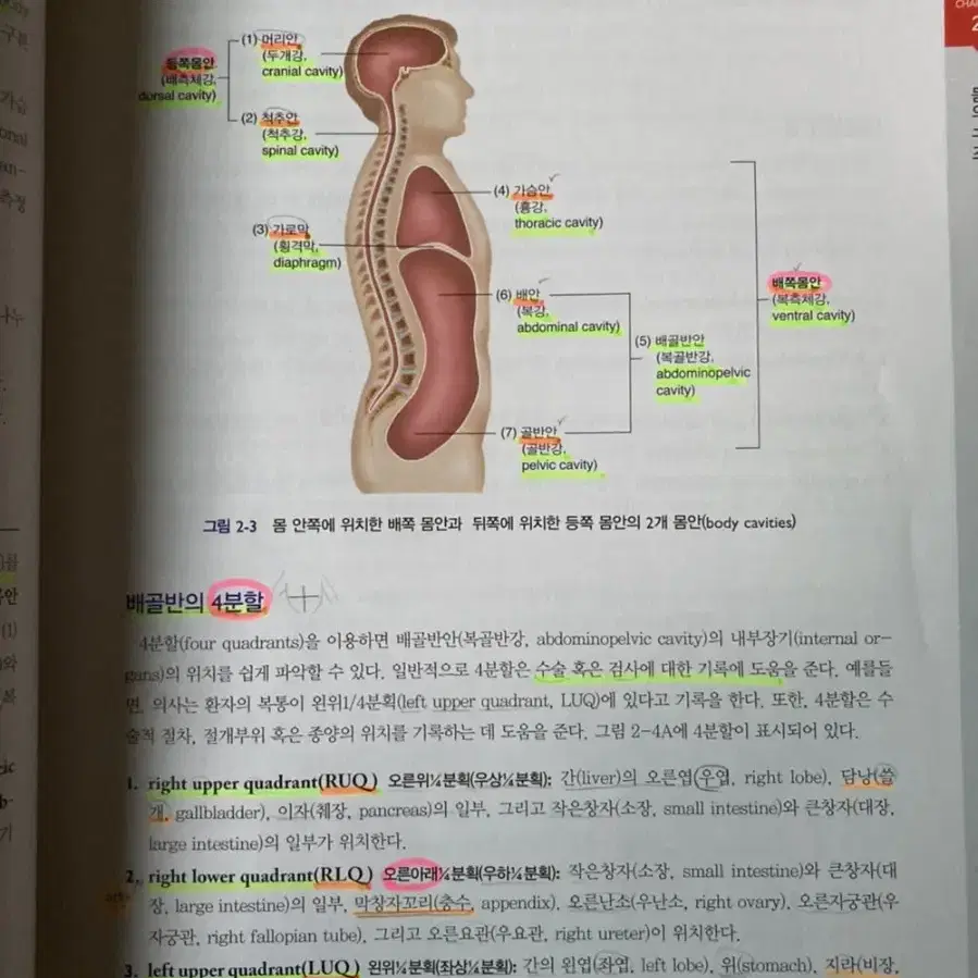 알기쉬운 의학용어