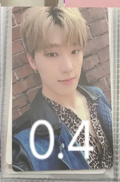 Seventeen Dog dino lee chan photocard WTS