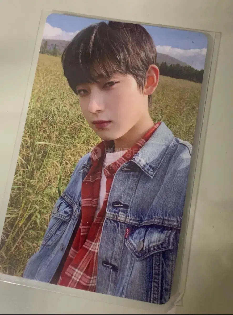 enhypen kim sunwoo photocard