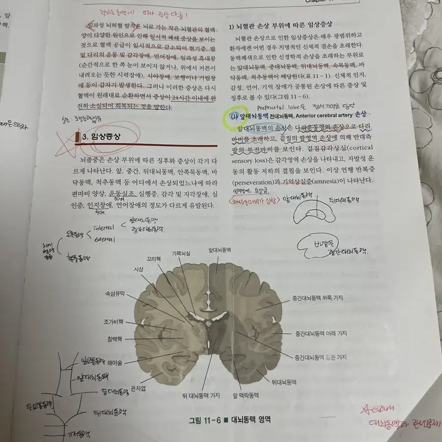 재활의학