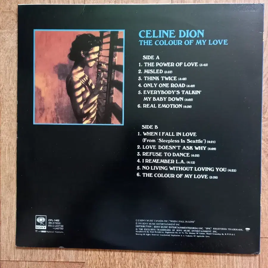 셀린디온 엘피 Celine dion lp