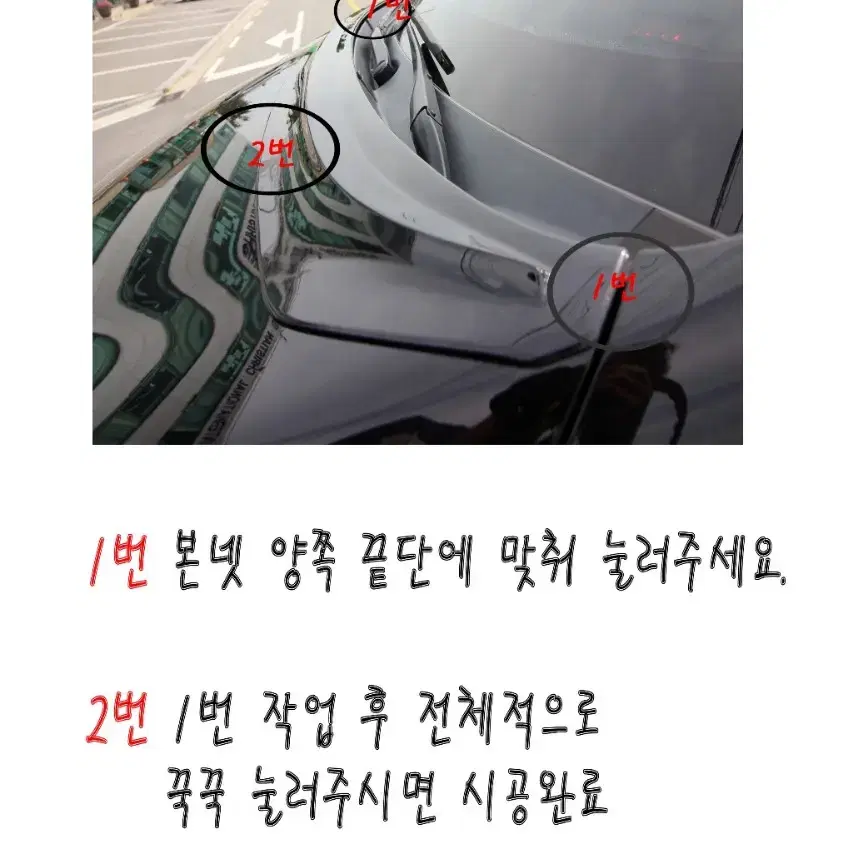 펠리쉐이드 보넷 버그가드