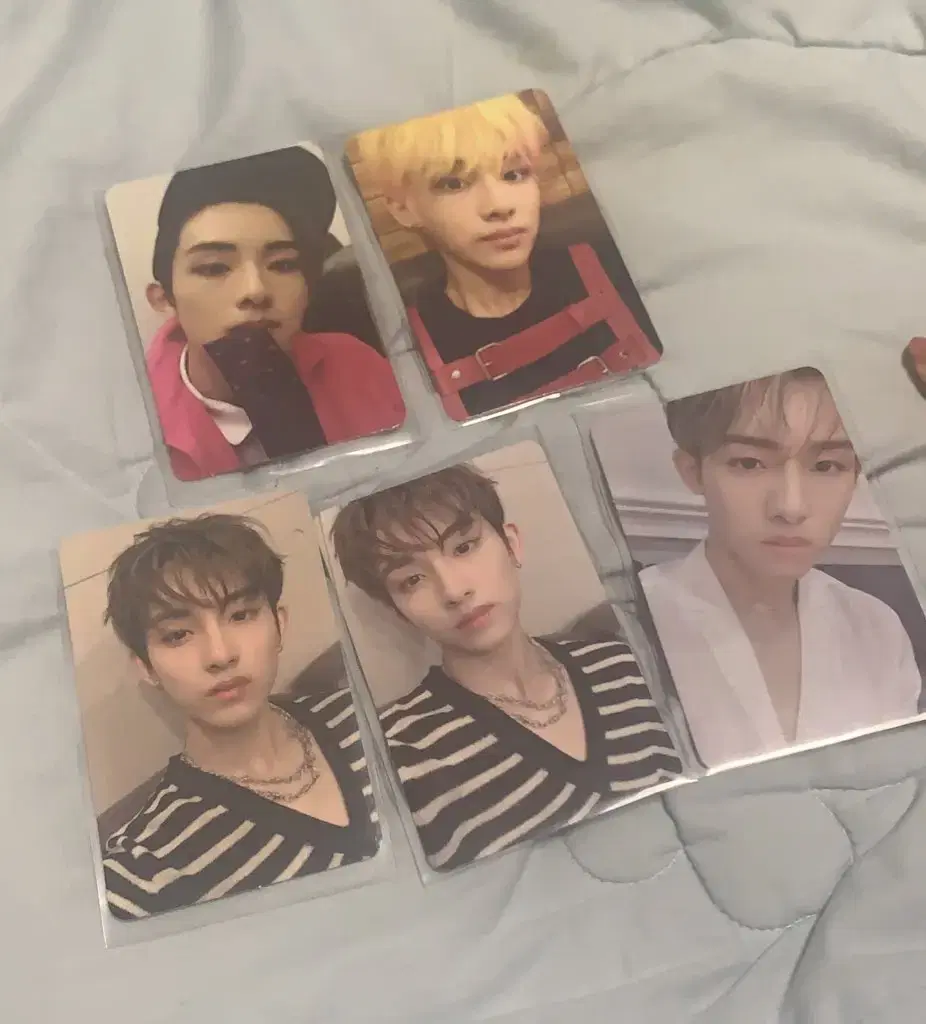 Winwin photocard bulk WTS