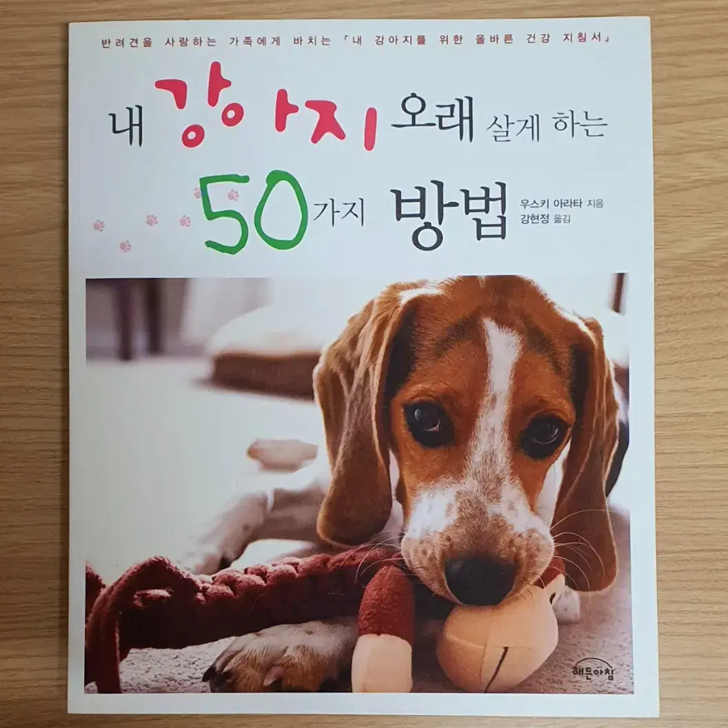 동물 관련 책 강아지 고양이