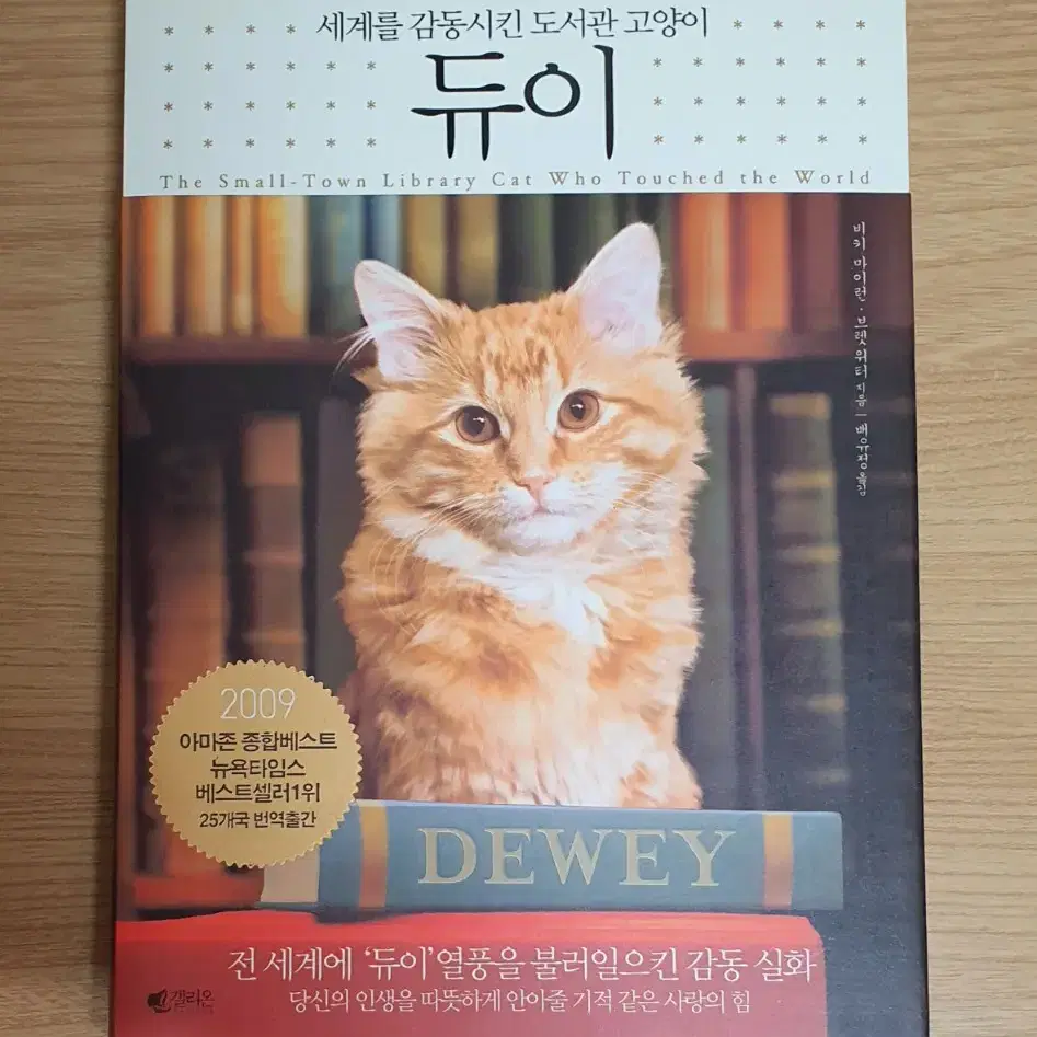 동물 관련 책 강아지 고양이