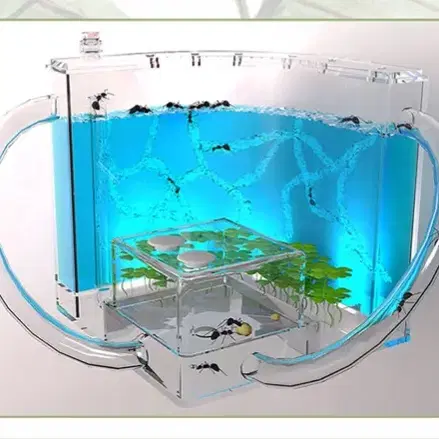[새상품+택포] 인싸개미집 LED 여왕개미키우기 사육장 하우스 곤충 교육