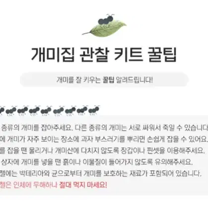 [새상품+택포] 인싸개미집 LED 여왕개미키우기 사육장 하우스 곤충 교육