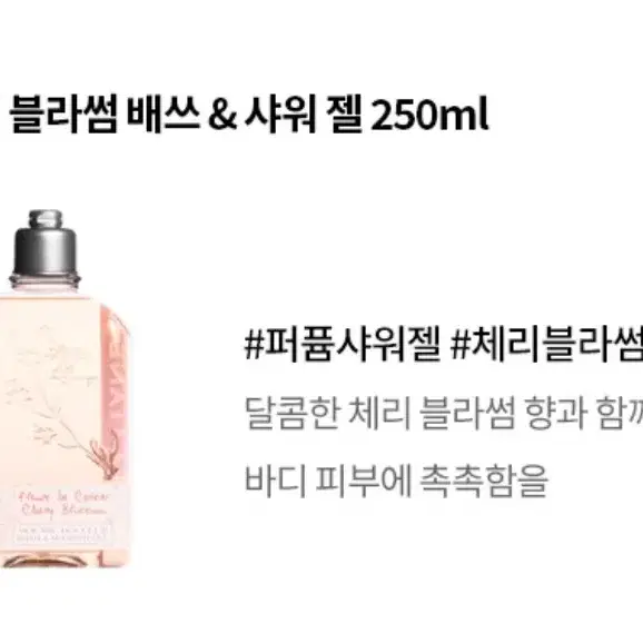 록시땅 체리블라썸 샤워젤 250ml (새상품)