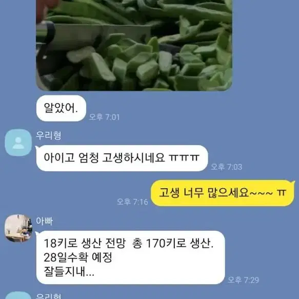 비염특효 작두콩차 팝니다