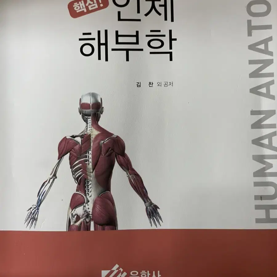 인체해부학 피앤씨메디컬